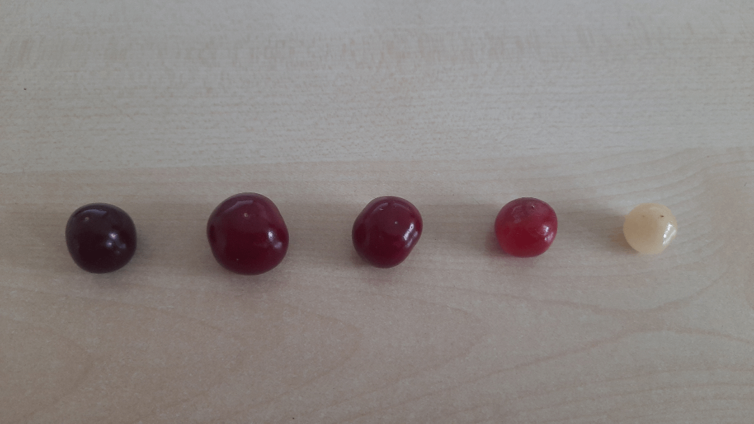Mal andere Kirschen