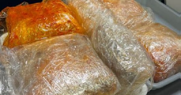 Four charged after 23kg meth, MDMA seized