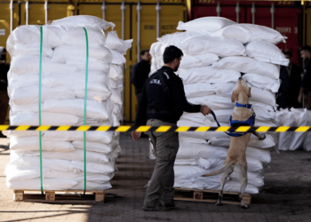 What Iceland’s Cocaine Surge Says About Europe's Drug Market