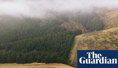 New Zealand government sued over ‘dangerously inadequate’ emissions reduction plan | New Zealand