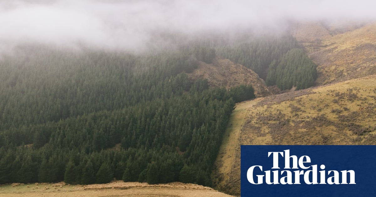 New Zealand government sued over ‘dangerously inadequate’ emissions reduction plan | New Zealand
