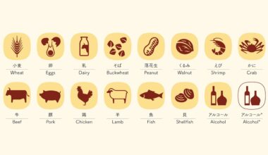 Foodpict: Ingredient Pictograms from Japan to the World (Expo)