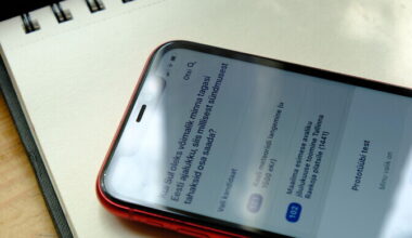 Estonia's mobile voting delayed by auditing concerns | News