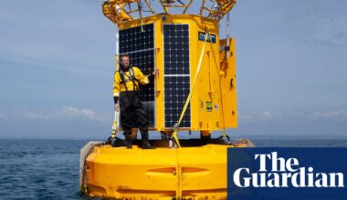 The scientists warning the world about the ‘evil twin’ of the climate crisis affecting our oceans | Endangered habitats