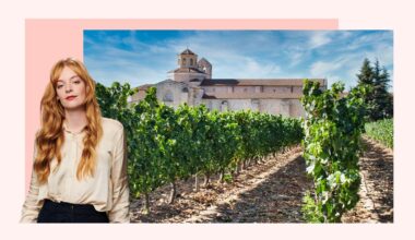 ‘My road trip through Spain’s world-class vineyards’