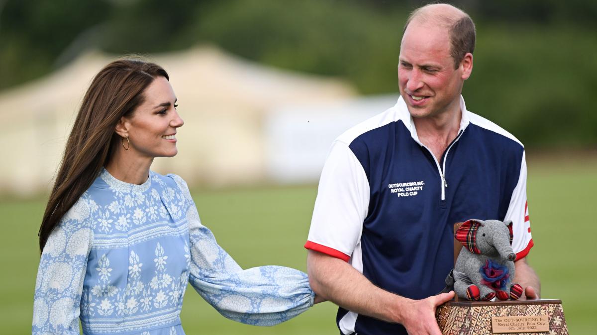 Royal donor offered access to Prince William at polo cup for £20k