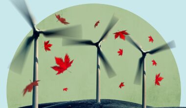 Why a Canadian pension fund has put wind in my sails