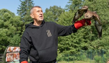 The Czech Trump on a mission to stop Europe ‘losing everywhere’