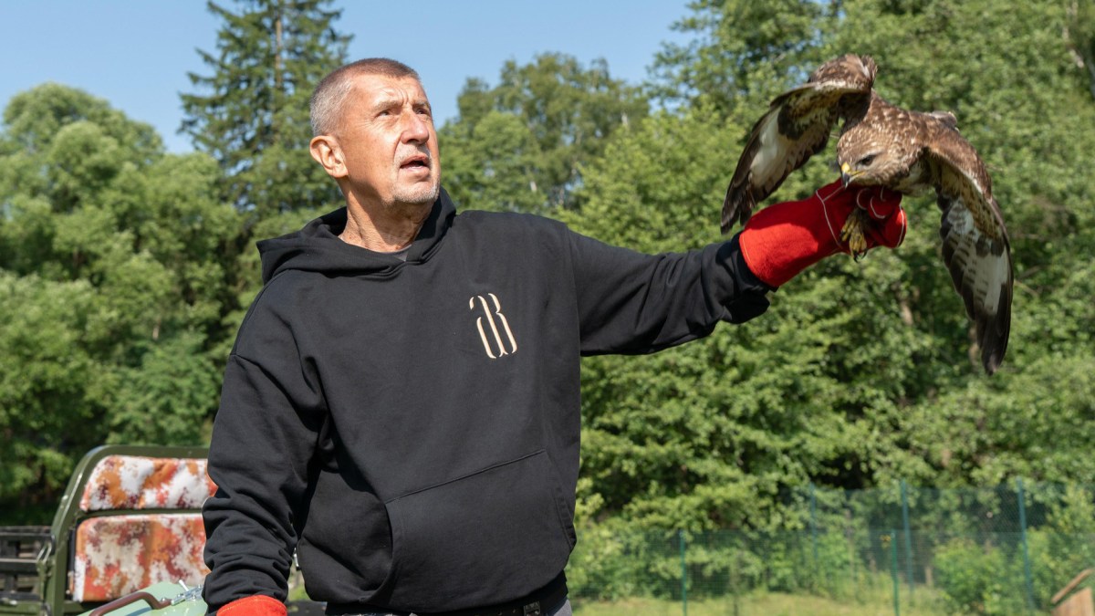 The Czech Trump on a mission to stop Europe ‘losing everywhere’