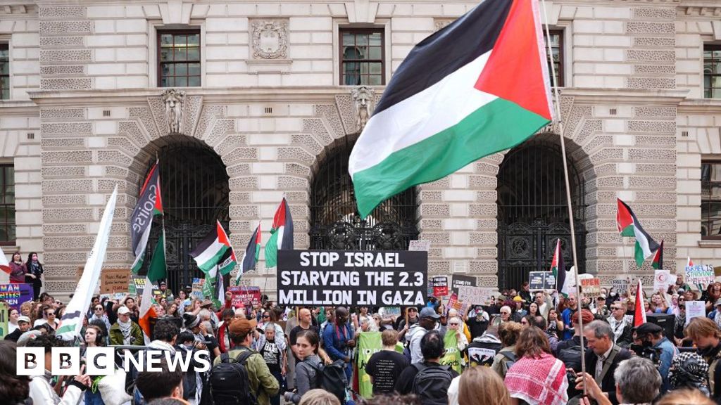Civil servants told to consider quitting if they disagree with policy over Gaza