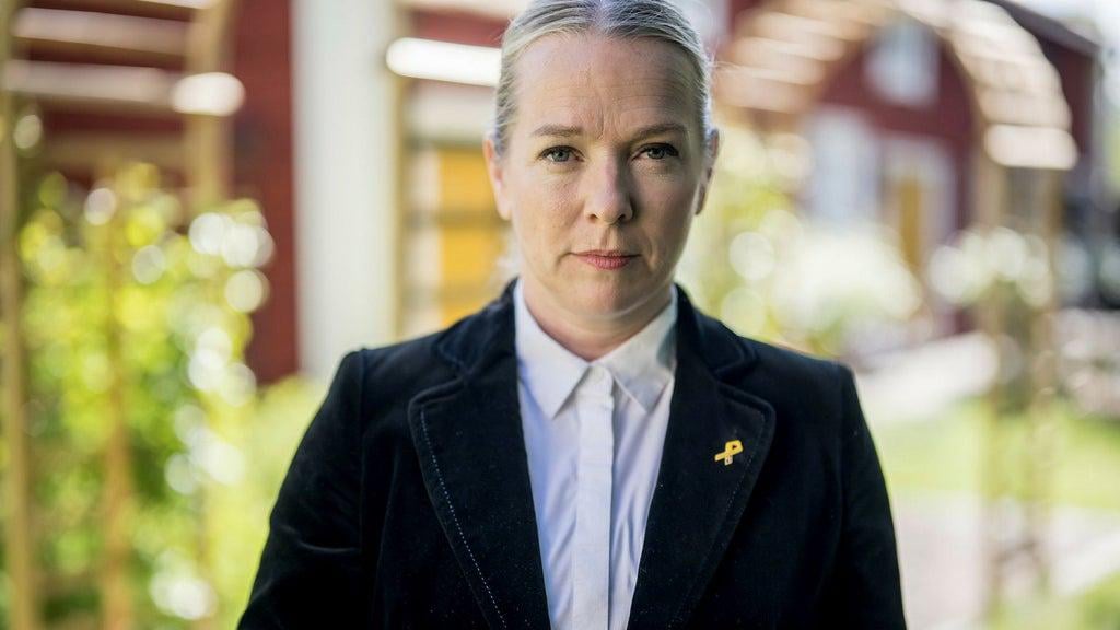 M-topp ska ha lovat SD miljoner – Sida ändrade beslut