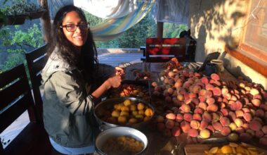Sara Singh somewhere in the mountains of India, peeling peaches to make jam. Private collection.
