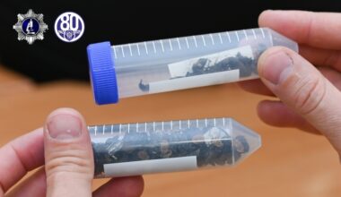 Warsztaty pomorskich kryminalistyków - Aktualności
