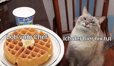 Ähm Danke Chef!