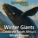 Salute South Africas Whale Season with 25 Free Spins on The Cash is Right Slot at Springbok Casino