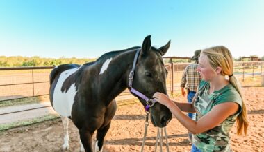 An image of a leadership team member with the horses.