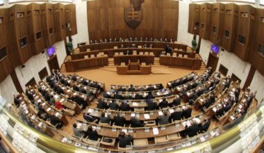 Slovak parliament backed anti-Russian sanctions stance - by accident