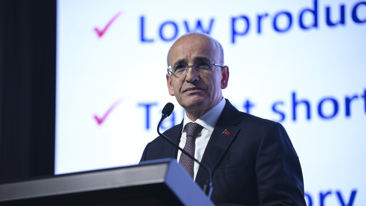 Türkiye's economic program 'overcome' shocks, inflation to continue falling