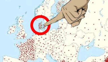 Well well well..guess I won’t bring my cat to Denmark