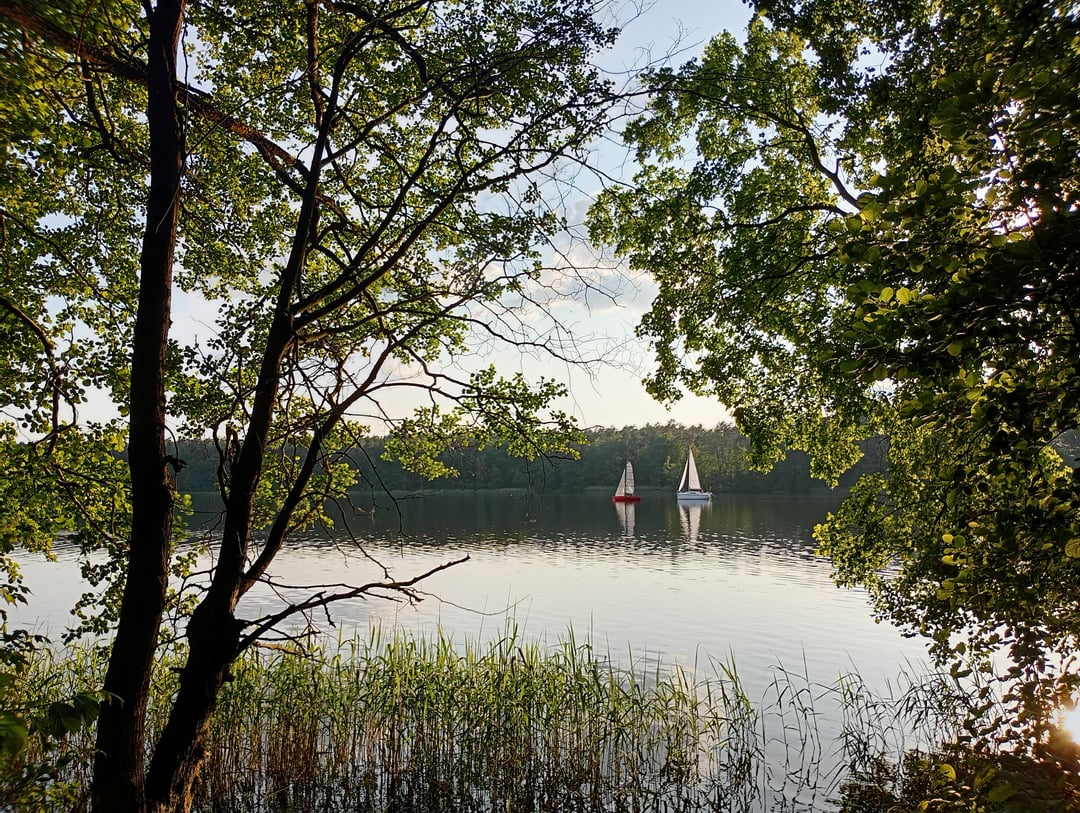 Day at the Lake