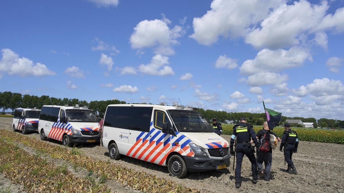 Die Polizei nimmt Demonstranten der Gruppe Extinction Rebellion fest. Sie haben versucht, eine Autobahn zu blockieren, über die die Staats- und Regierungschefs zum Nato-Gipfel anreisen.