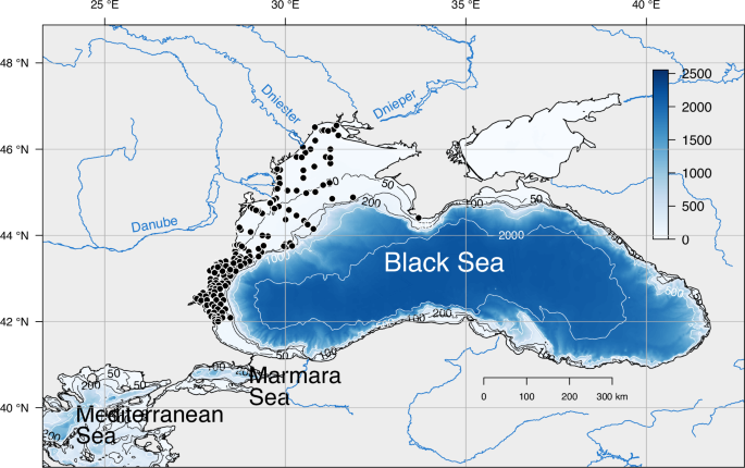 A macrozoobenthic data set of the Black Sea northwestern shelf