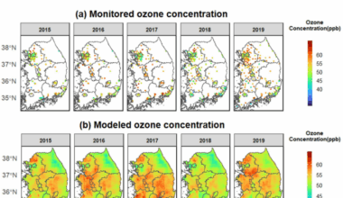 Nationwide association between ambient ozone and sudden cardiac arrests in South Korea