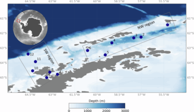Oceanic regions shape the composition of the Antarctic plastisphere