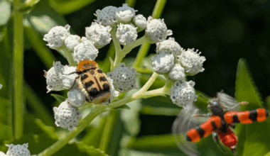 Heute war ganz schön was los im Garten!