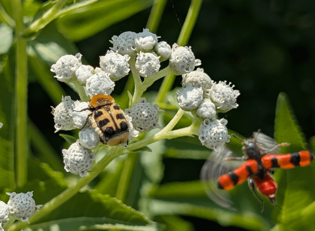 Heute war ganz schön was los im Garten!