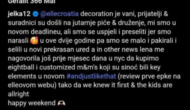 Dobio sam moždani od opisa slike Jelene Veljace