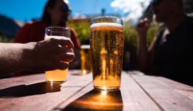 Regeringen vill lätta kritiserat alkoholtillstånd