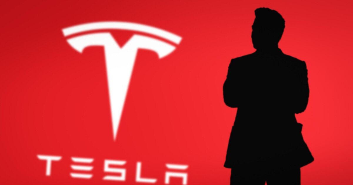 Tesla's market share in Ireland diminishes