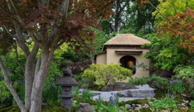 So many reasons to love Japanese gardens 