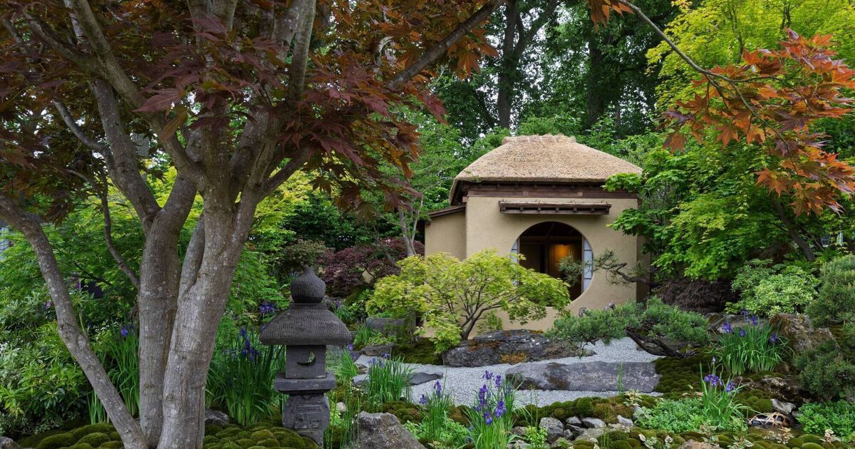 So many reasons to love Japanese gardens 