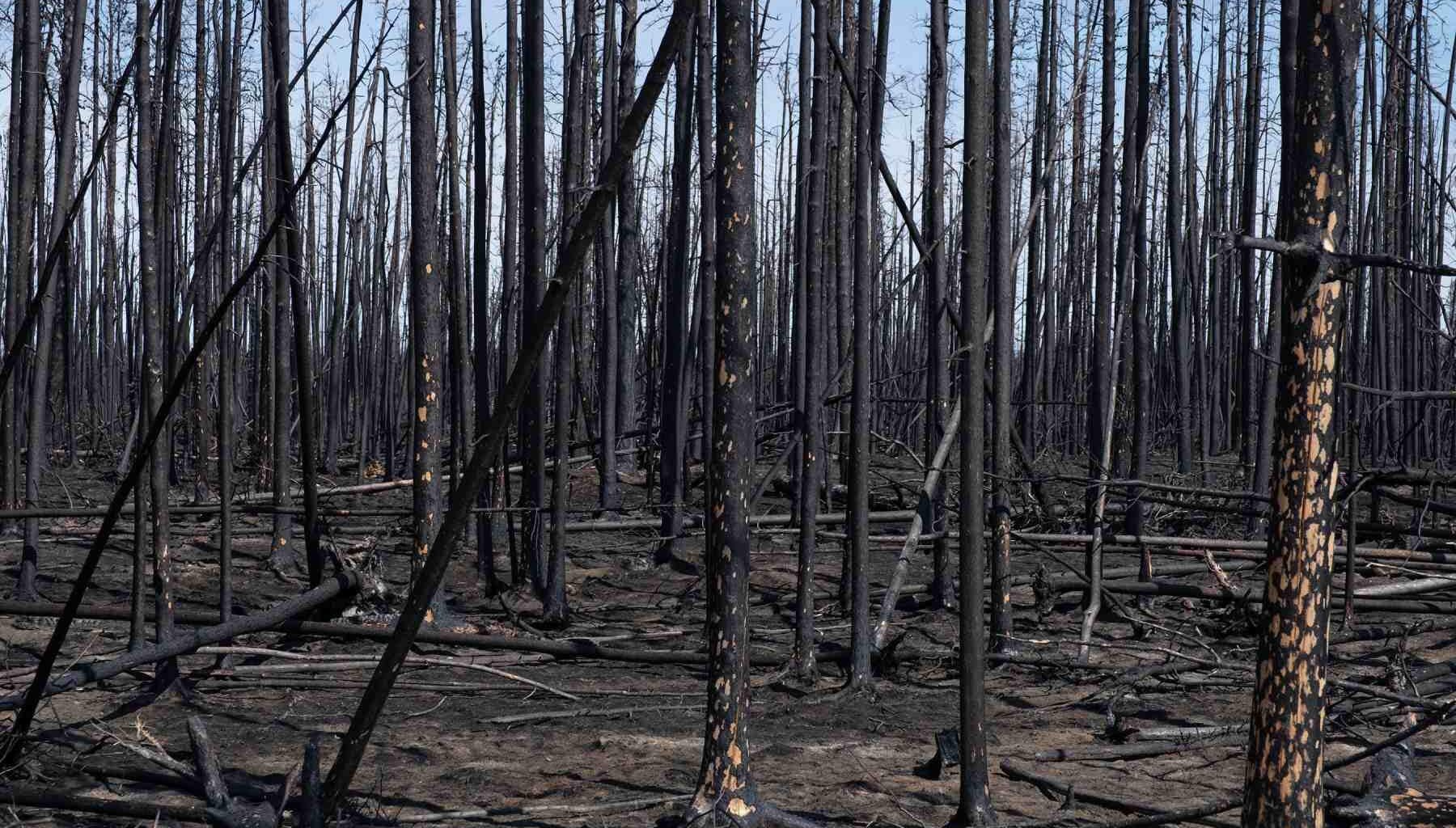 Climate Change Is Happening. Why Don’t We See It? | The photographers making us look at ecological destruction in new ways