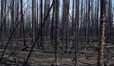 Climate Change Is Happening. Why Don’t We See It? | The photographers making us look at ecological destruction in new ways