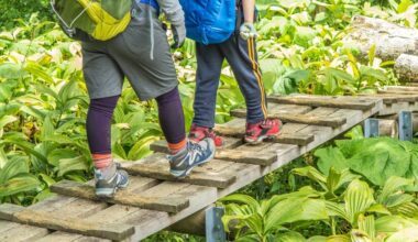 Police agency records 3,357 people in mountain accidents last year