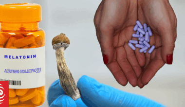 Melatonin, ADHD medication and magic mushrooms - what are NZ's new changes in access to them?