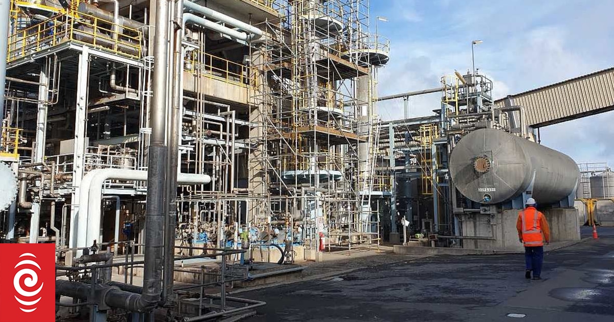 Climate Minister says gas shortage will lower greenhouse emissions