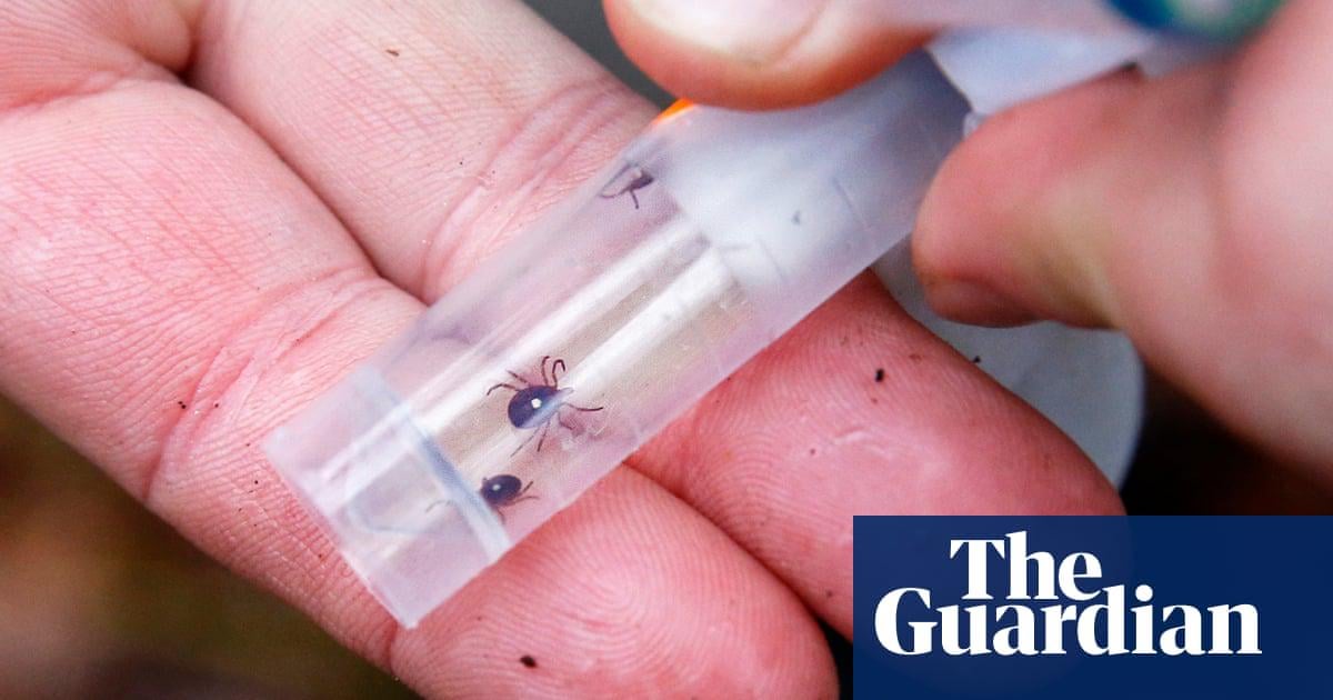 ‘Explosive increase’ of ticks that cause meat allergy in US due to climate crisis | US news