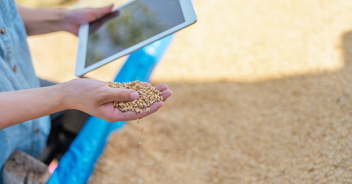 Korea launches digital breeding platform to boost competitiveness of seed industry