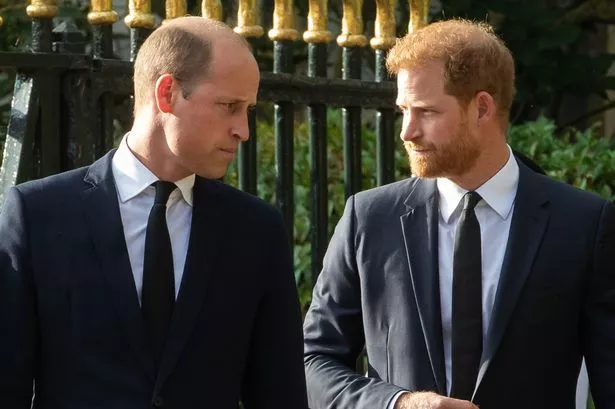 Prince William, the new Prince of Wales, and Prince Harry, the Duke of Sussex