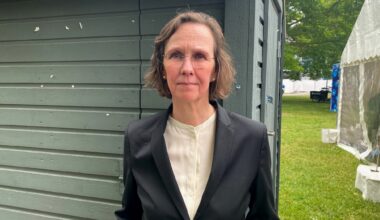 Säpo ser allvarligt på säkerheten under Almedalsveckan - Radio Sweden på lätt svenska