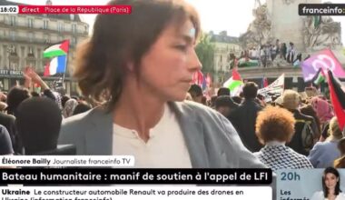 Manifestation pour la «Flottille de la liberté» : une journaliste de Franceinfo violemment prise à partie en plein direct