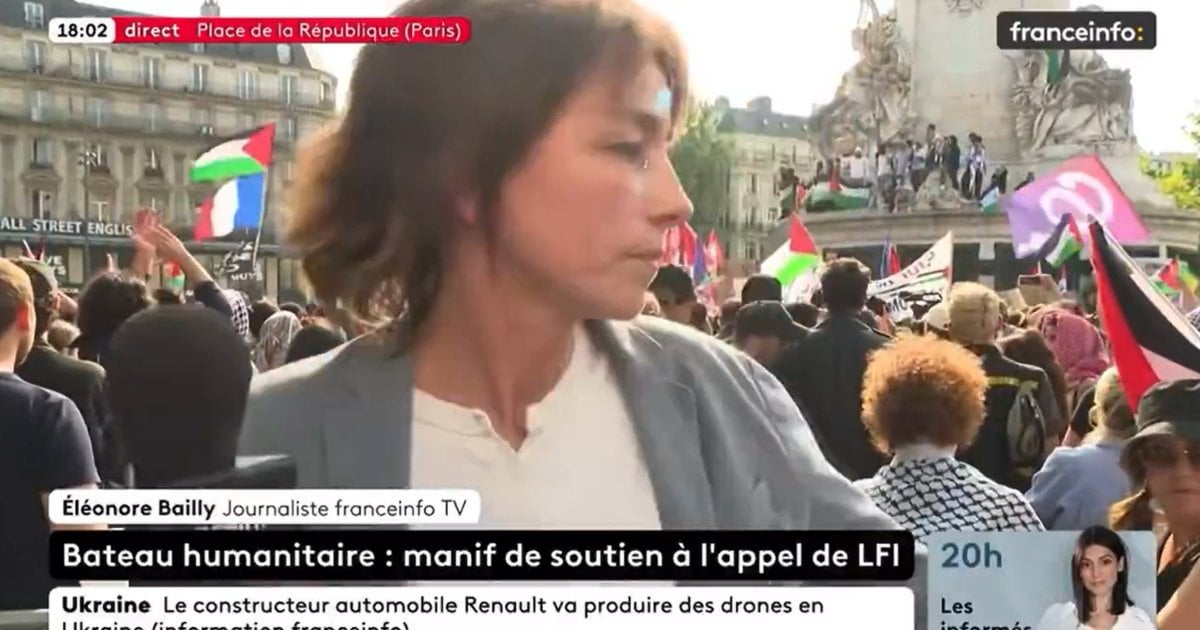 Manifestation pour la «Flottille de la liberté» : une journaliste de Franceinfo violemment prise à partie en plein direct