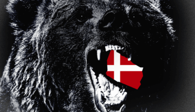 Forsvarsanalytiker: »Bornholm skal ikke ligge som en lille lækker forsvarsløs godbid for en sulten russisk bjørn«