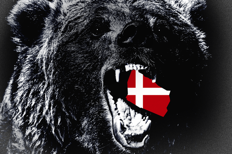 Forsvarsanalytiker: »Bornholm skal ikke ligge som en lille lækker forsvarsløs godbid for en sulten russisk bjørn«