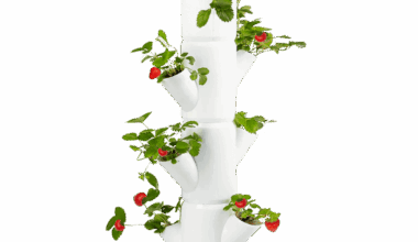 Erfahrungen Erdbeerturm