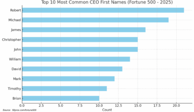 [OC] Most Common CEO Names from the Fortune 500